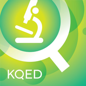 Kqed Science, KQED Public Media